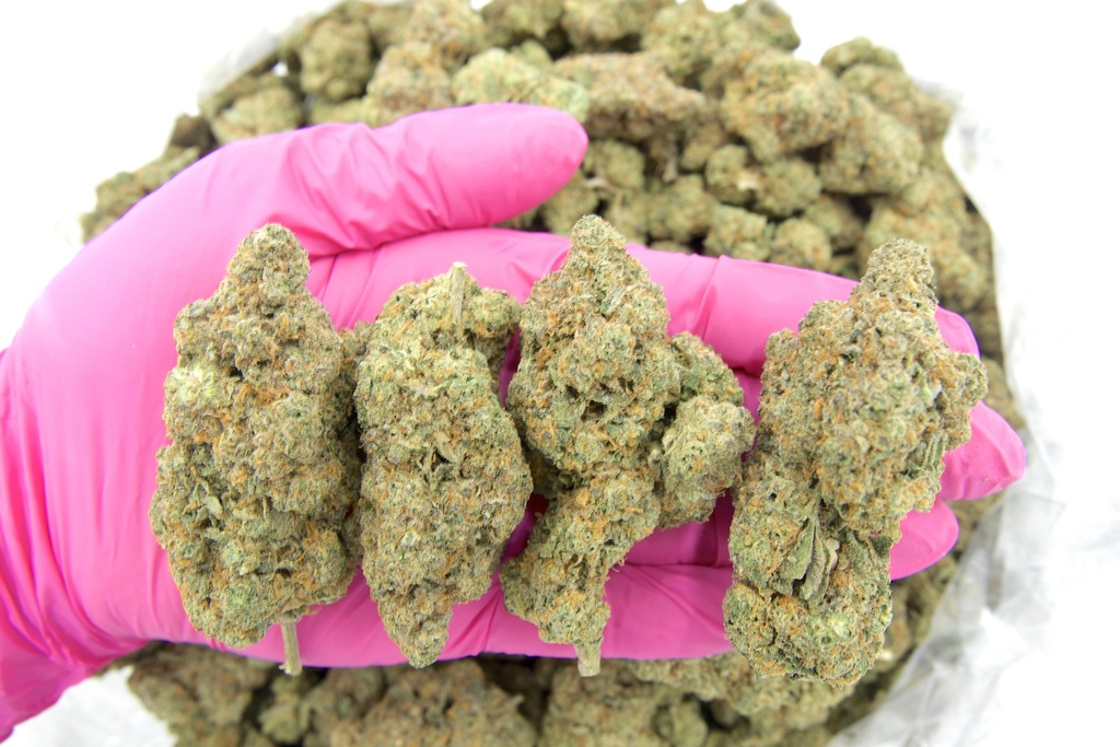 SOUR DIESEL
