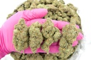 SOUR DIESEL