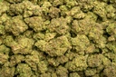 PROCESSING HHC (100G)