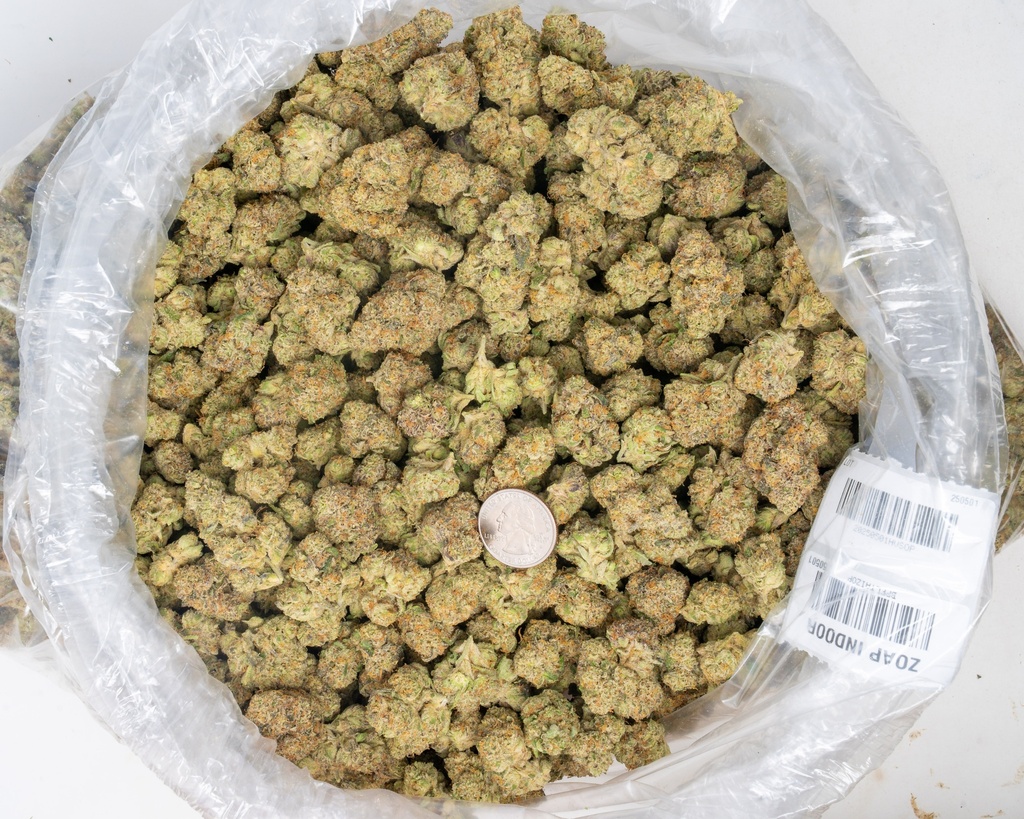 Zoap Indoor
