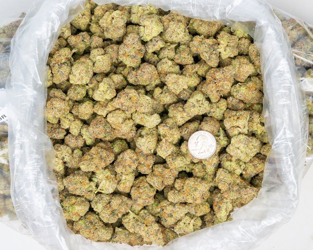 Zoap Indoor