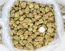 Zoap Indoor