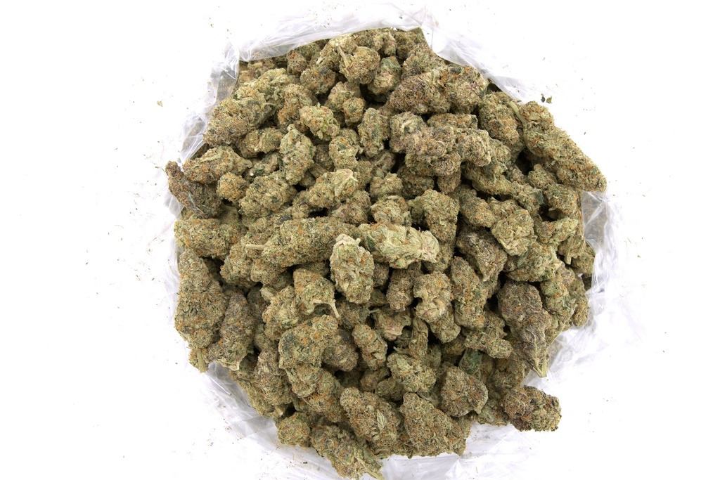 Roxanne Indoor