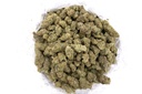 Roxanne Indoor