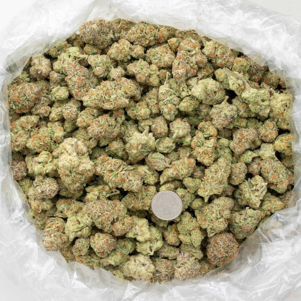Purple Punch Indoor
