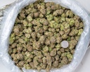 Purple Punch Indoor