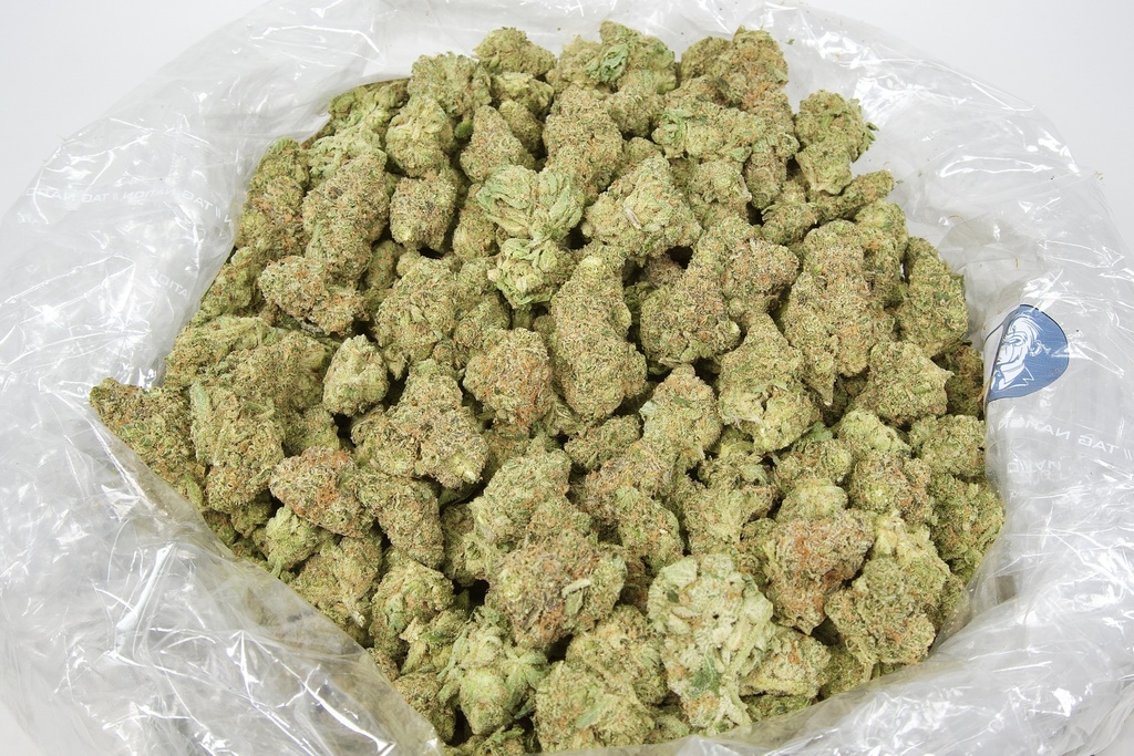 Green Crack Indoor