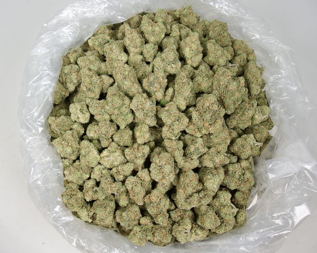 Blue Dream Indoor