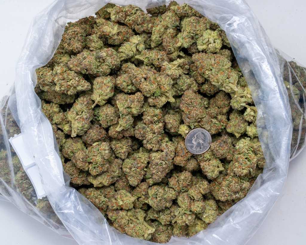 ALASKAN THUNDER FUCK
