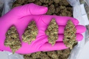 ALASKAN THUNDER FUCK