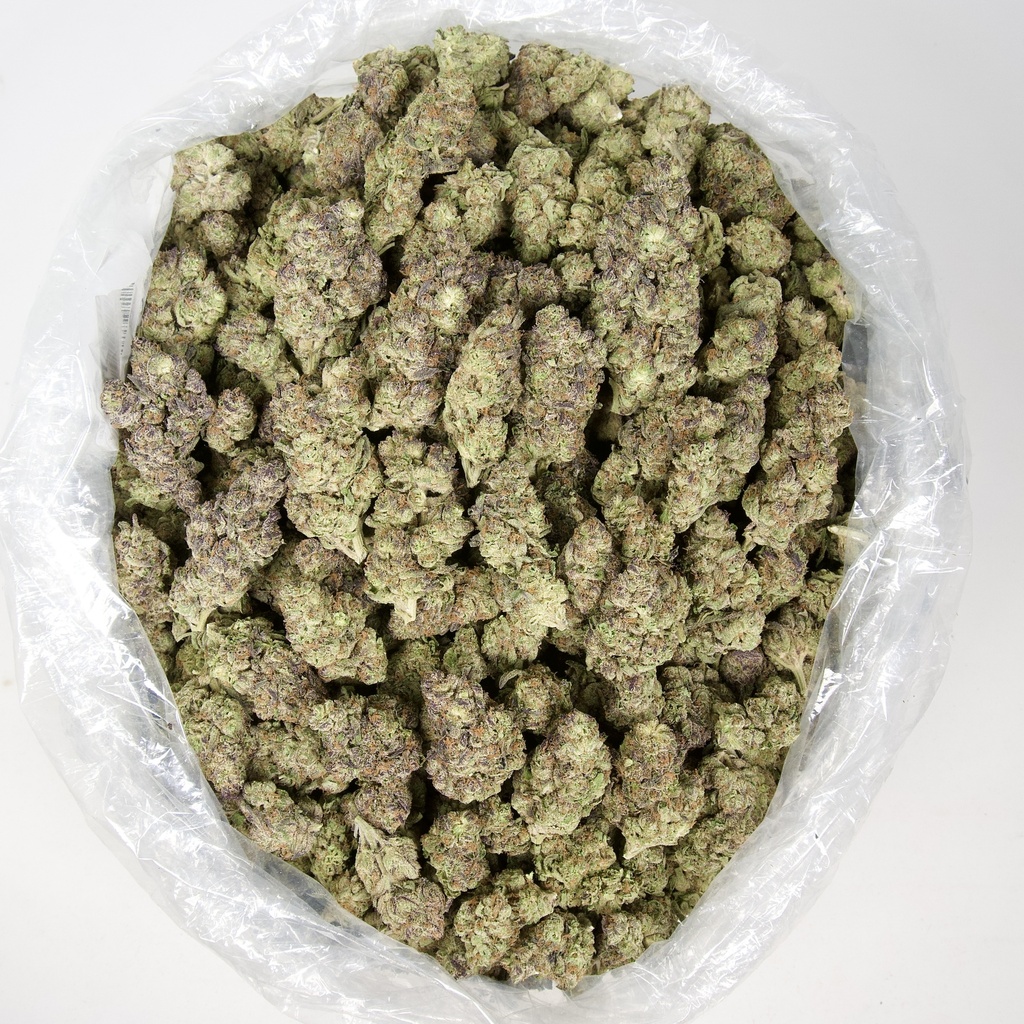 Gelato Indoor