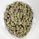 Gelato Indoor