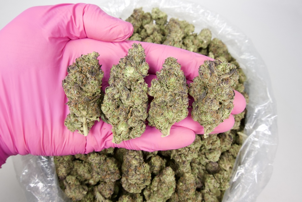 Gelato Indoor