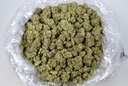 Mango Dream