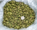 Tropicana Cherry Smalls