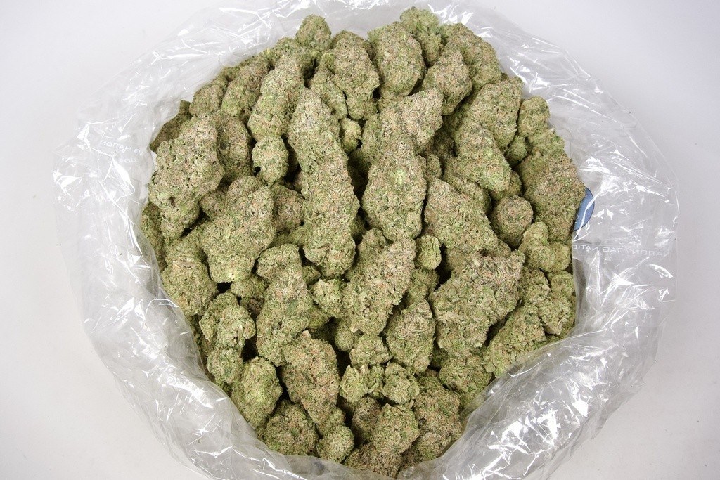 Pineapple Dog Shit Indoor