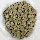 Purple Cream Indoor
