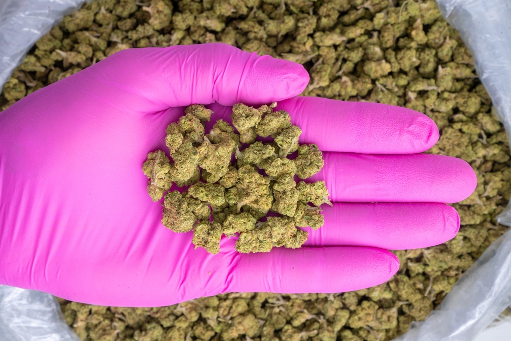 Keylime Cookies Smalls