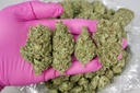 Diesel Thai