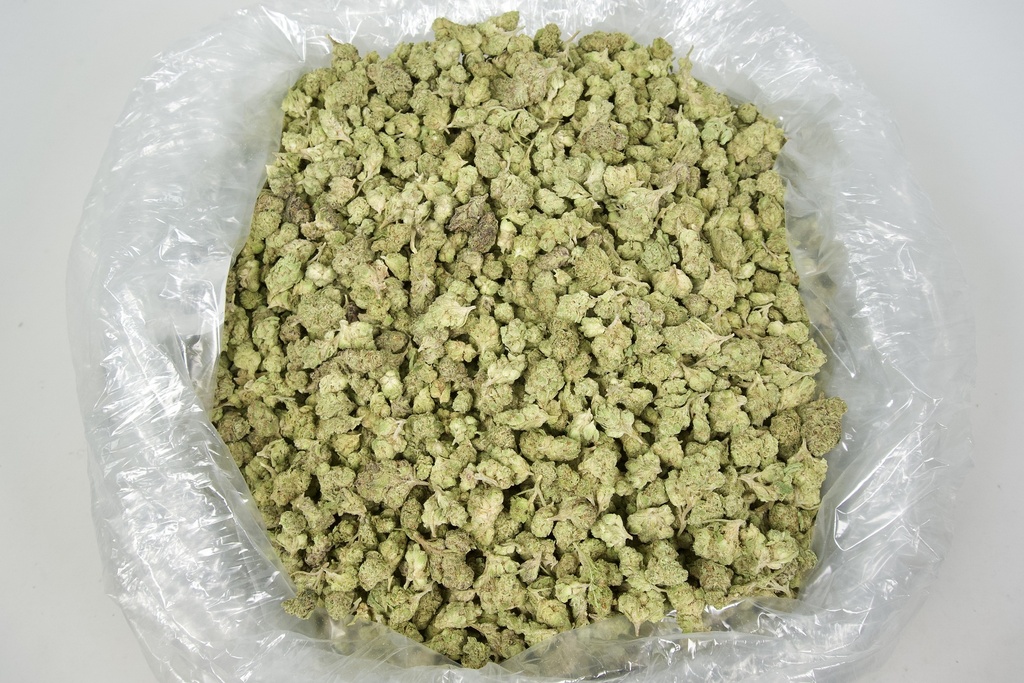 Gelonade Smalls