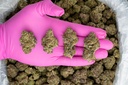 Hood Candy Indoor