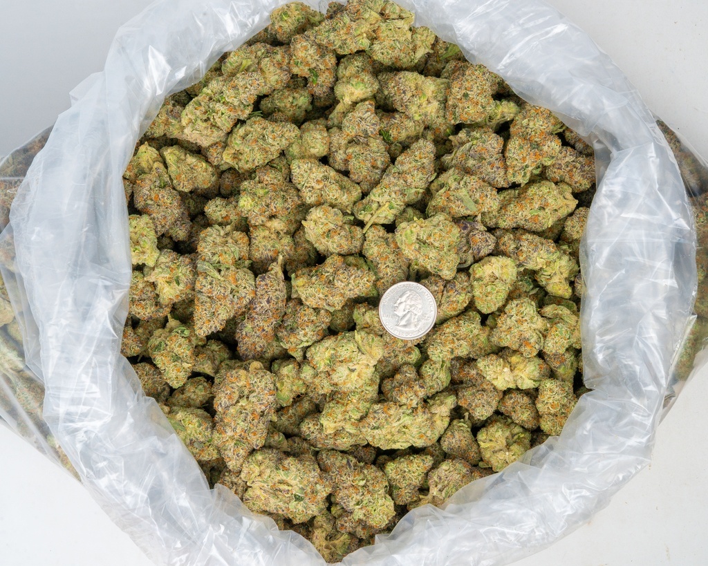 Apple Sherbet Indoor