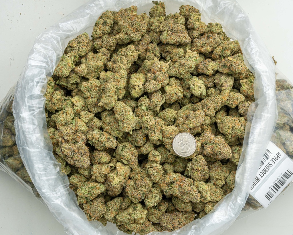 Apple Sherbet Indoor