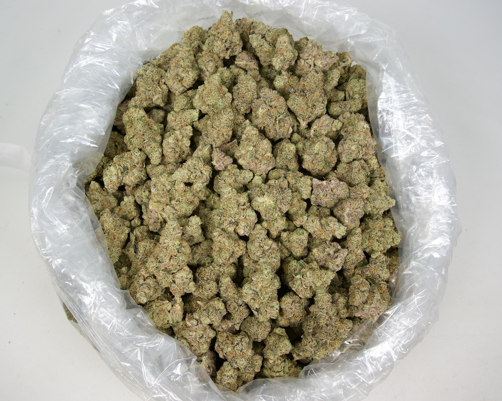 The One Indoor