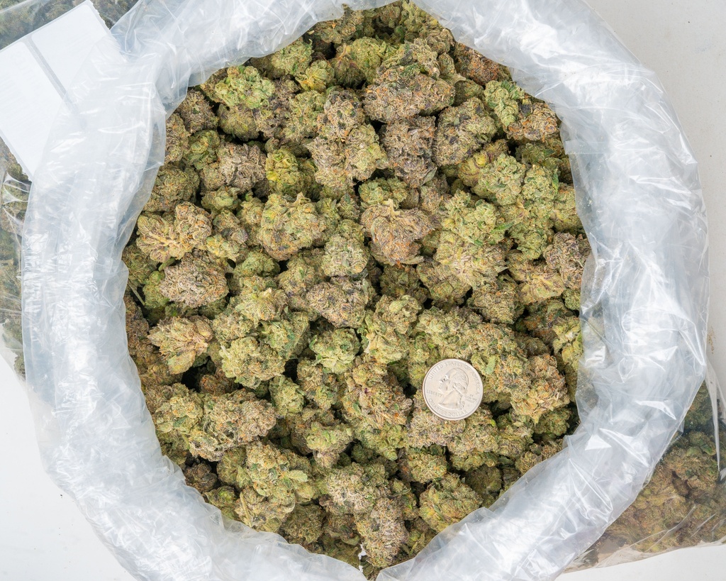 Watermelon Zkittles Indoor