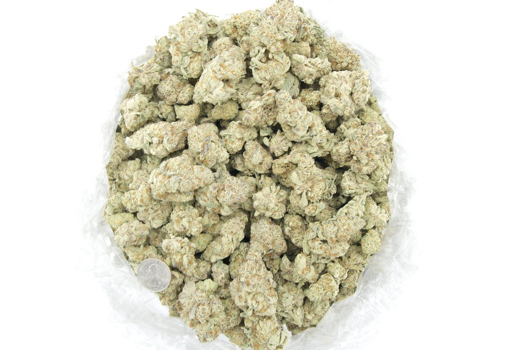 Purple Urkle Indoor