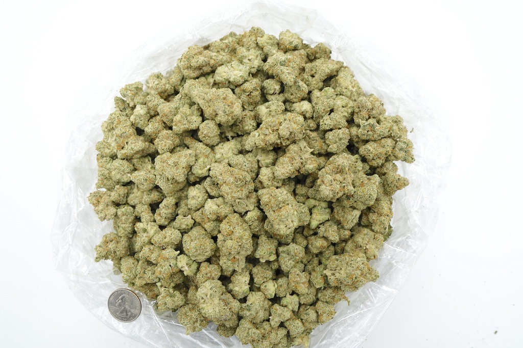 Sweet Island Skunk Indoor