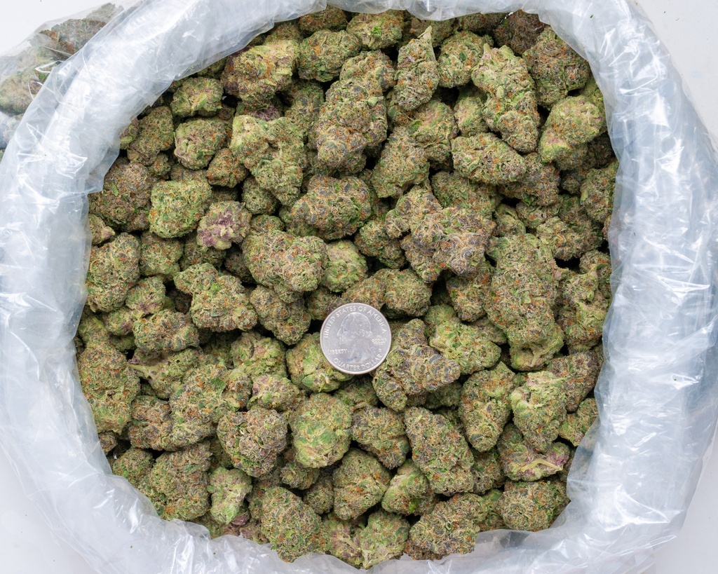 Stardawg Guava Indoor