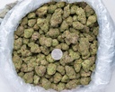 Stardawg Guava Indoor