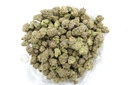 Hawaiian Snow Indoor