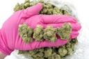 Chem de la Chem