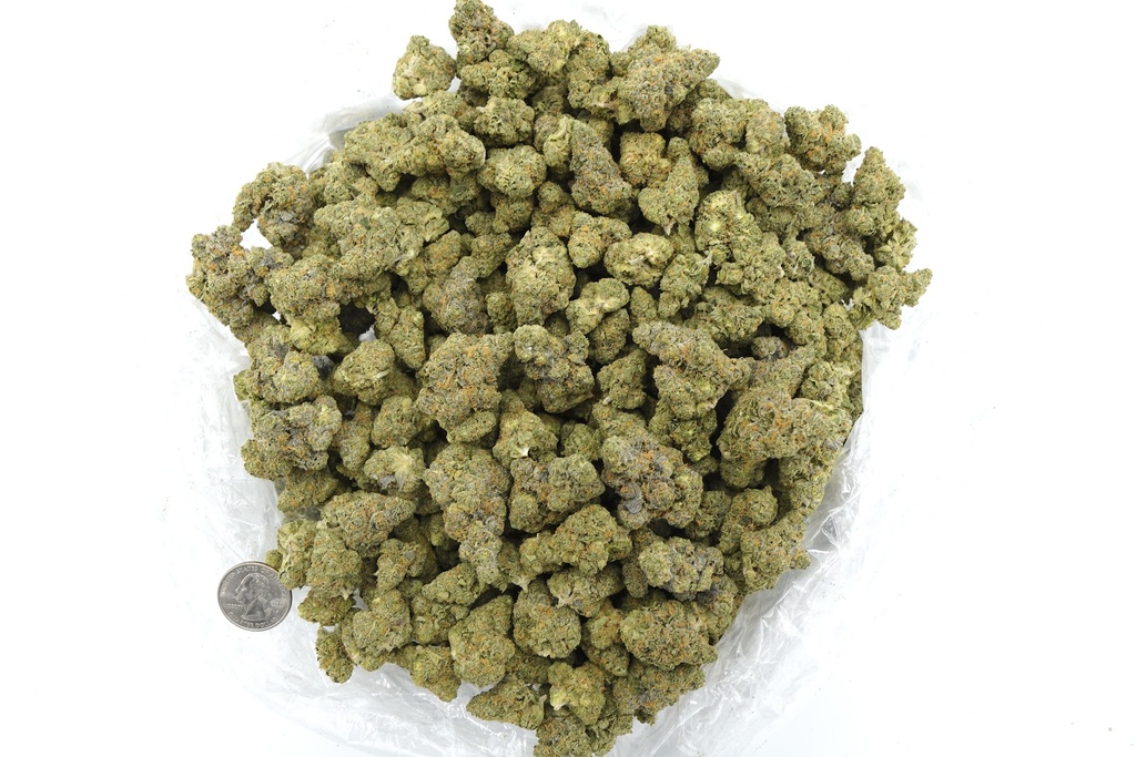 Galactic Jack Indoor