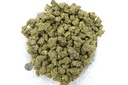 Galactic Jack Indoor