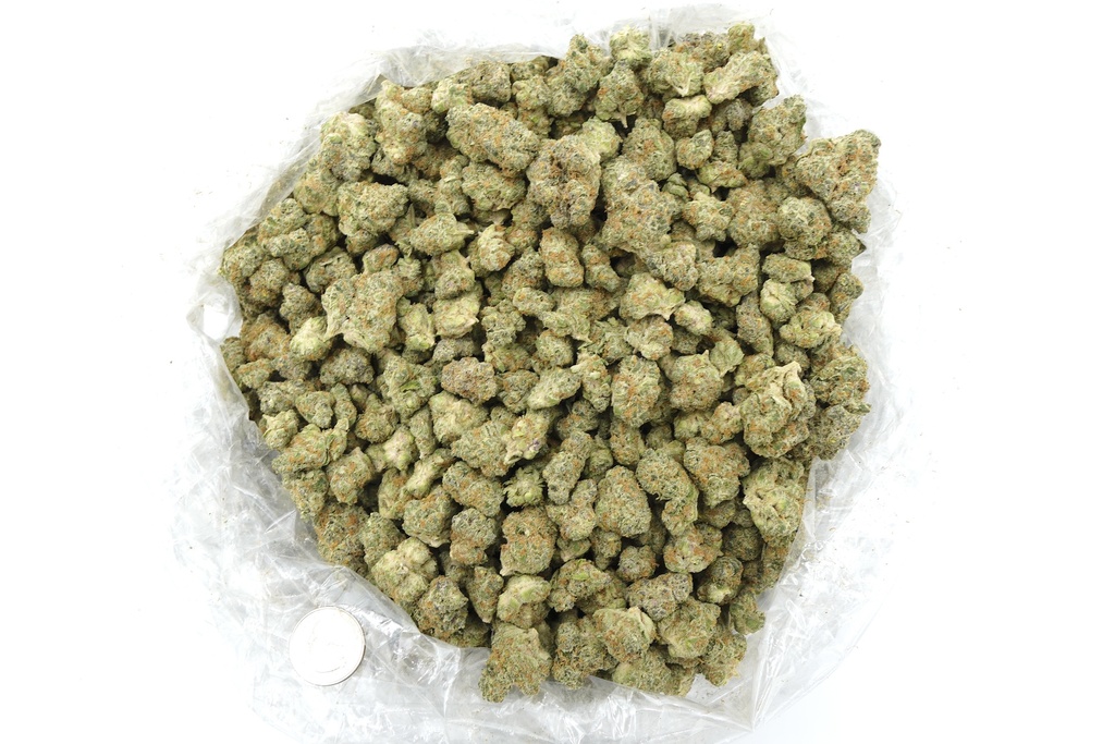 Cat Piss Indoor