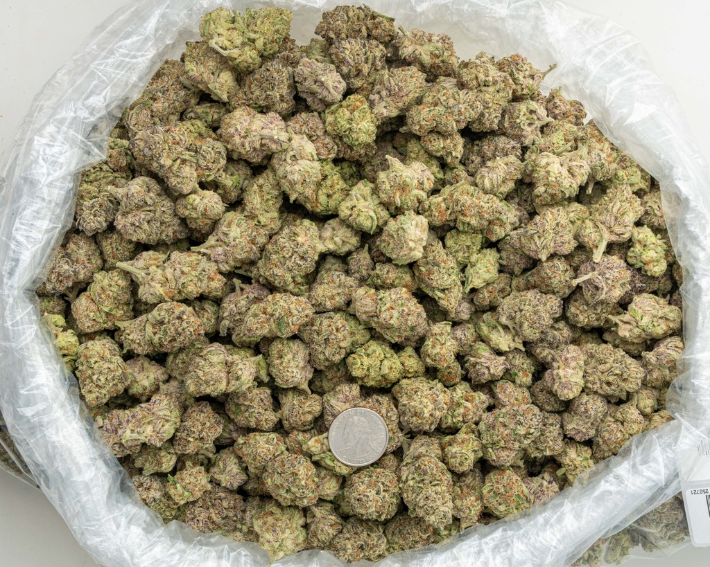 Blueberry Blast Indoor
