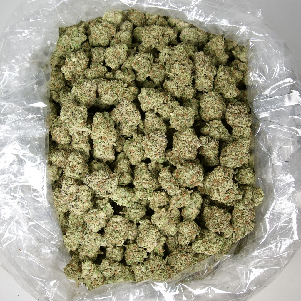 Gorilla Butter Indoor