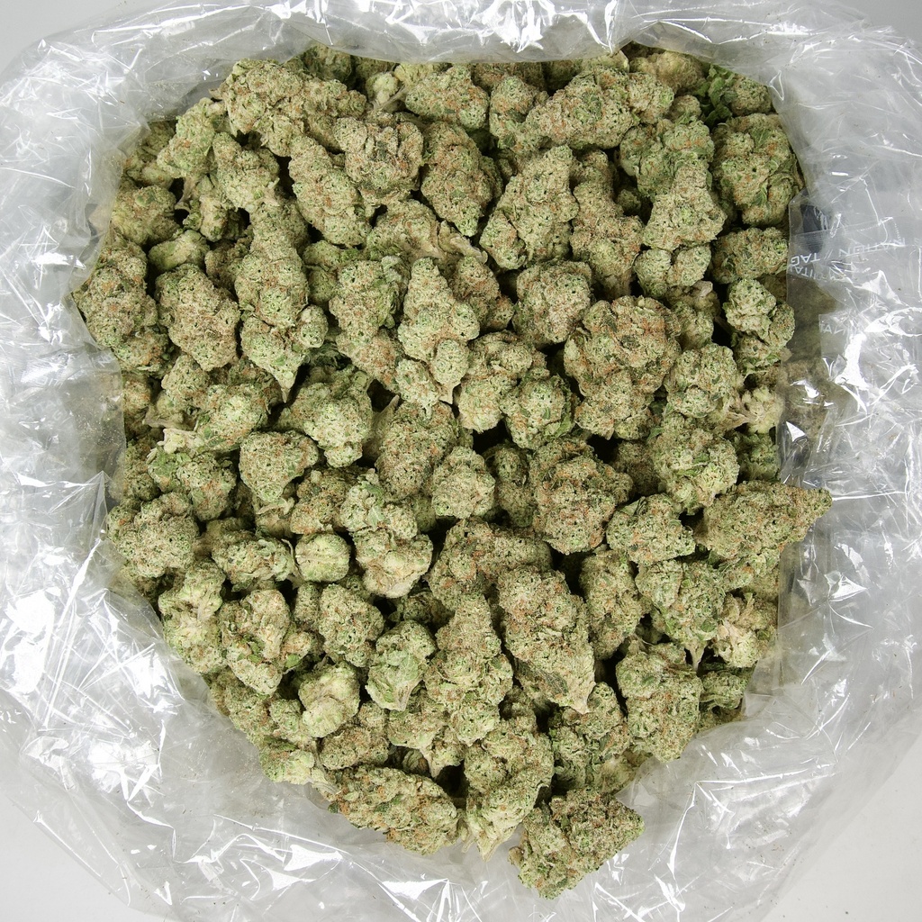 Tasty Wave Indoor