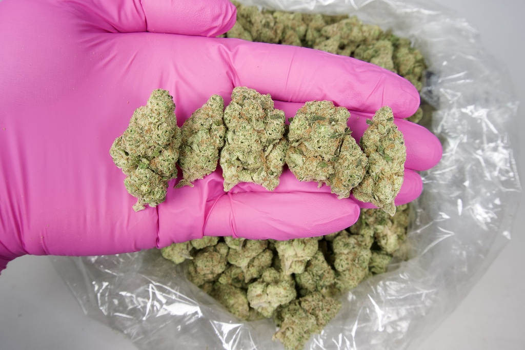 Tasty Wave Indoor