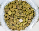 Gary Zkittles