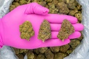 Gary Zkittles