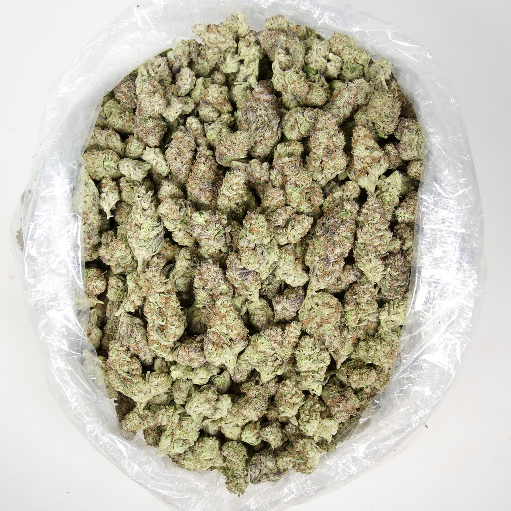 The White Indoor