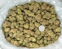 Candy Glue Indoor