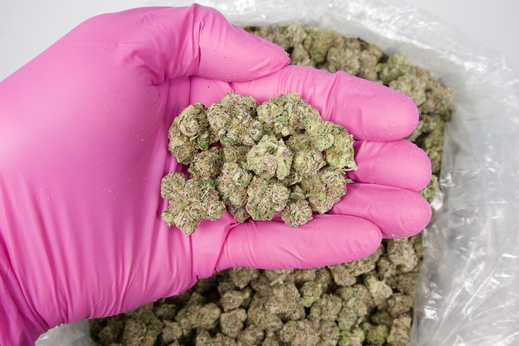 Calfire OG Indoor Mediums