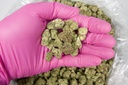 Peanut Butter Breath Mediums