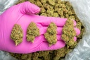 ALASKAN THUNDER FUCK