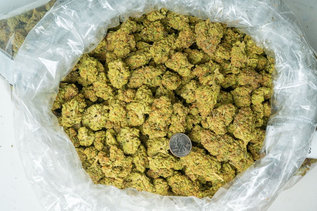 ALASKAN THUNDER FUCK